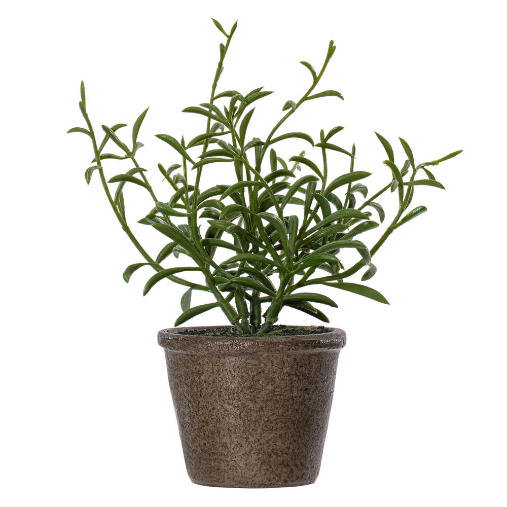 7" Green Potted Herbs Assort 3/pk